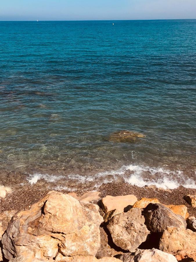 Antibes Secured Parc Velusine With Private Parking, Terrace, Pools And Tennis Courts. エクステリア 写真