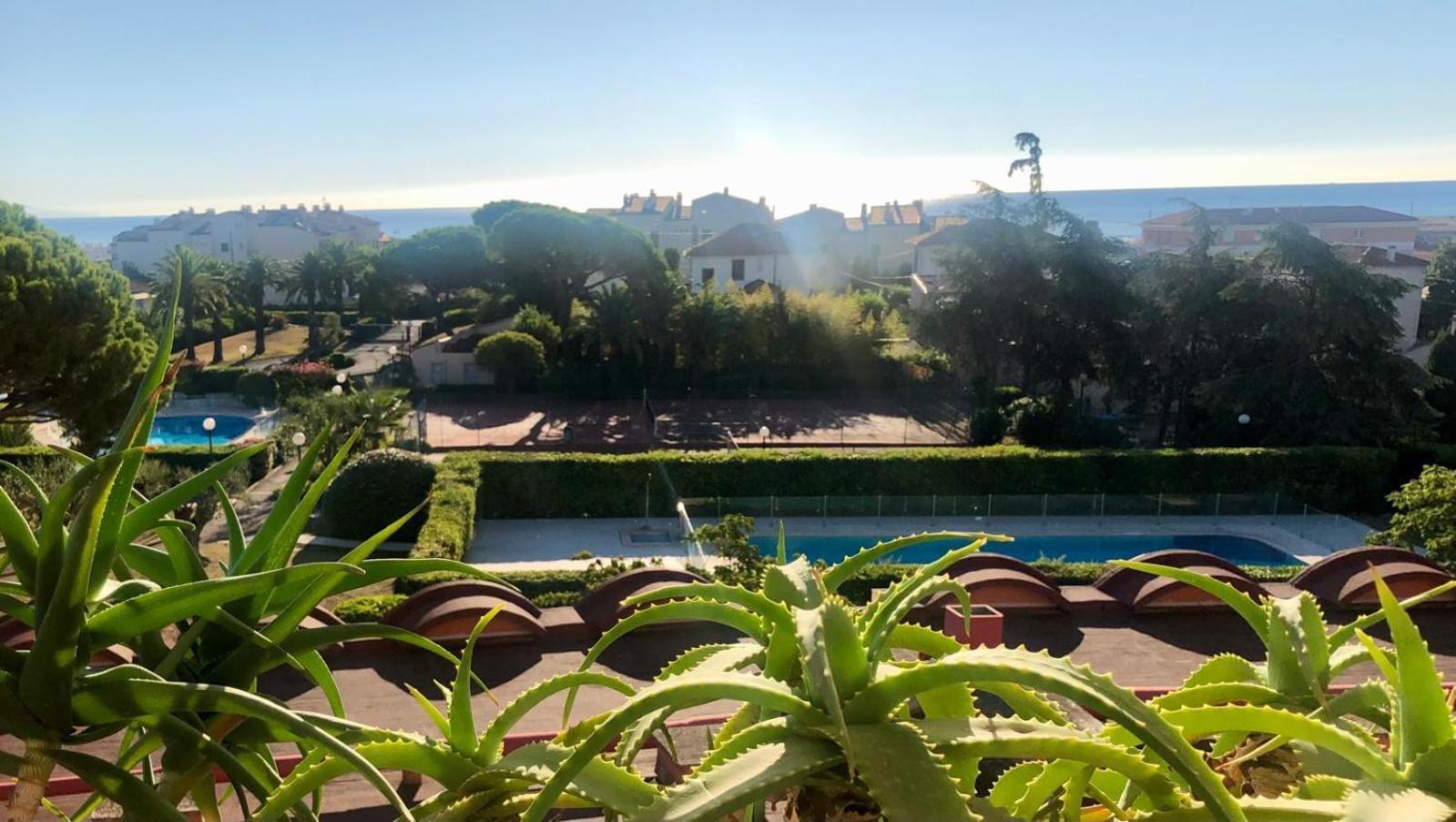 Antibes Secured Parc Velusine With Private Parking, Terrace, Pools And Tennis Courts. エクステリア 写真